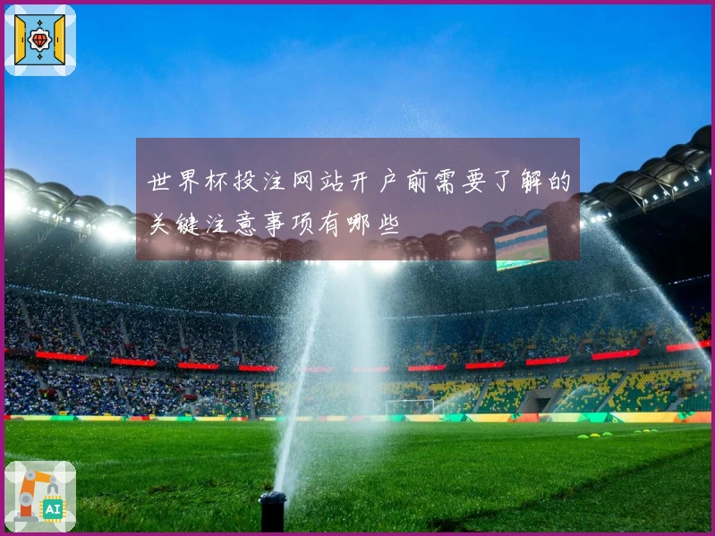 世界杯投注网站开户前需要了解的关键注意事项有哪些