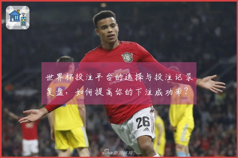 世界杯投注平台的选择与投注记录复盘，如何提高你的下注成功率？