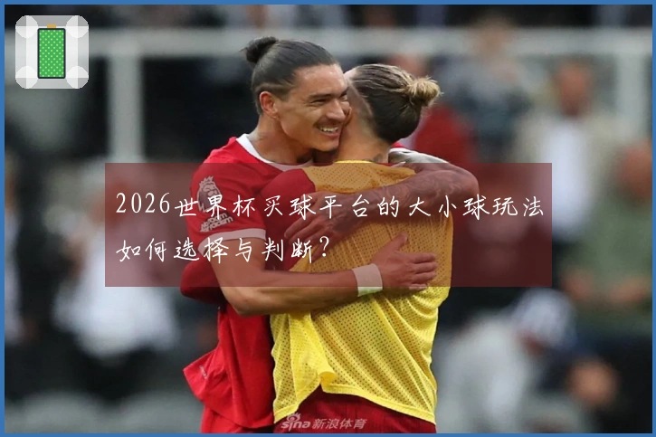 2026世界杯买球平台的大小球玩法如何选择与判断？