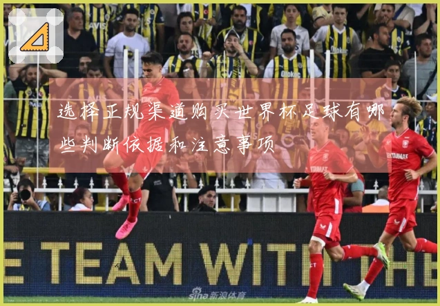 选择正规渠道购买世界杯足球有哪些判断依据和注意事项