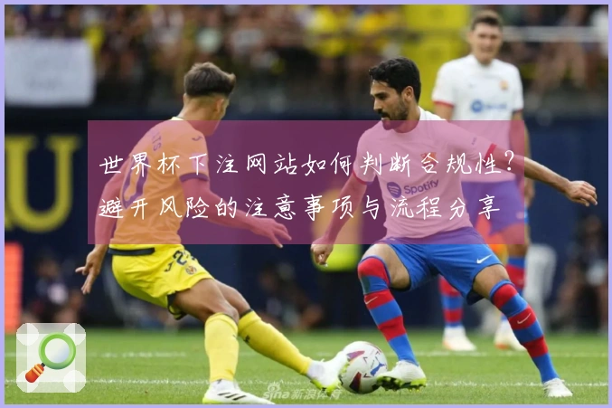 世界杯下注网站如何判断合规性？避开风险的注意事项与流程分享