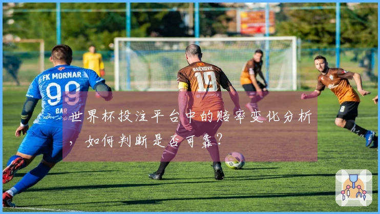 世界杯投注平台中的赔率变化分析，如何判断是否可靠？