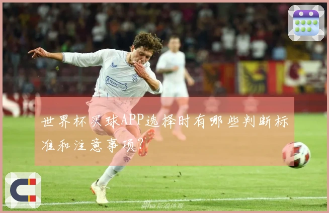 世界杯买球APP选择时有哪些判断标准和注意事项？