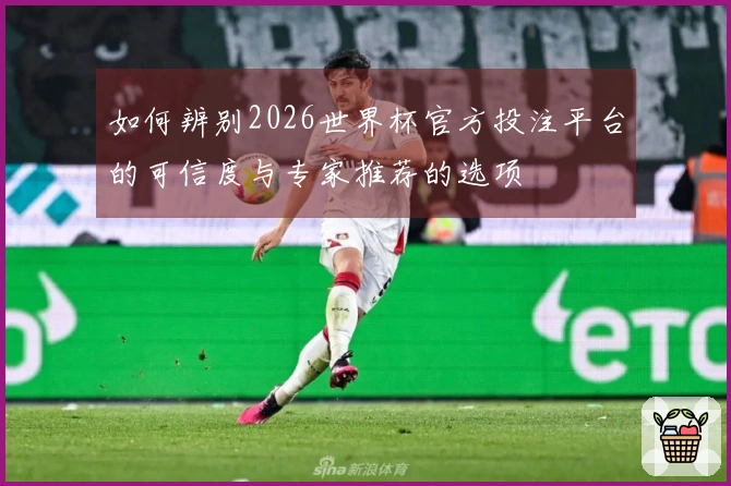 如何辨别2026世界杯官方投注平台的可信度与专家推荐的选项