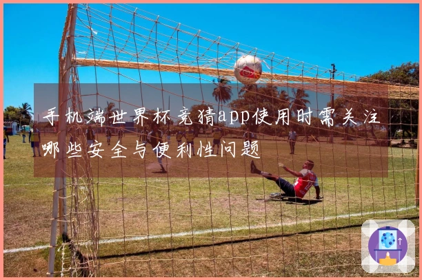 手机端世界杯竞猜app使用时需关注哪些安全与便利性问题