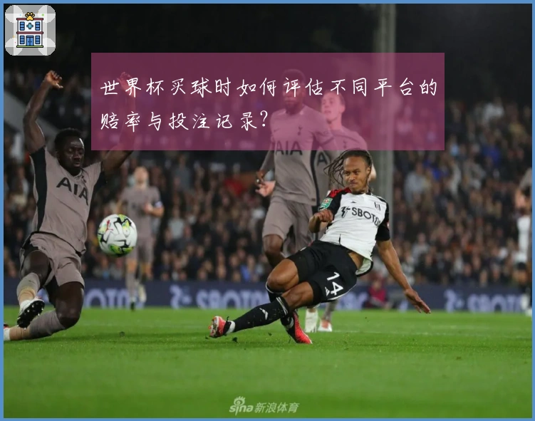 世界杯买球时如何评估不同平台的赔率与投注记录？