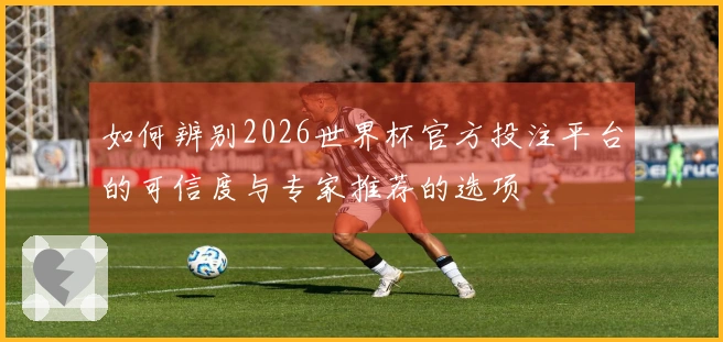 如何辨别2026世界杯官方投注平台的可信度与专家推荐的选项