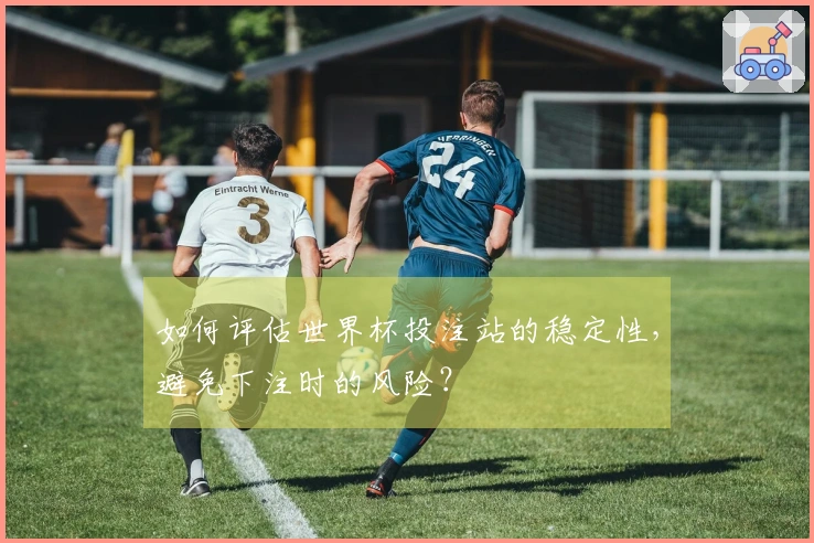 如何评估世界杯投注站的稳定性，避免下注时的风险？